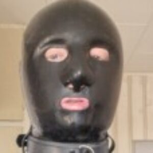 Profil foto af Gummislavefyn